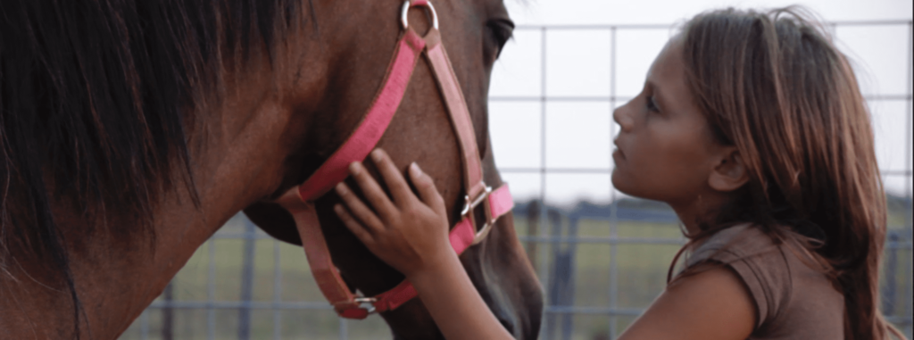 Equine Therapy