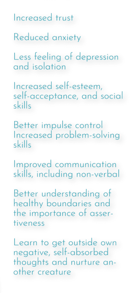 Benefits